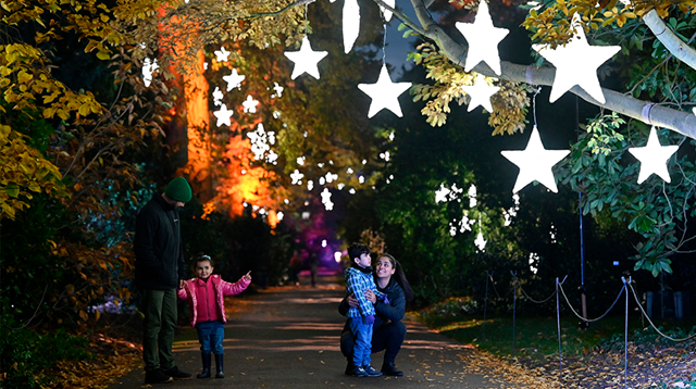 Family of four pose under star lights hanging from trees in Kew Gardens